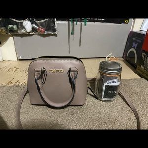 Mini Steve Madden purse